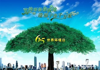 公司6.5環(huán)境日活動(dòng)總結(jié)