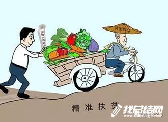 2020年駐村工作隊精準扶貧工作總結(jié)