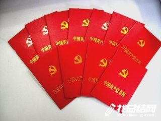 新黨章學習心得體會