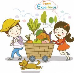 學(xué)校2020年暑假社會實(shí)踐總結(jié)評比活動總結(jié)