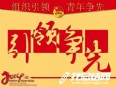 社區(qū)團(tuán)委工作總結(jié)