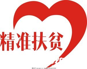 扶貧專干個人工作總結(jié)