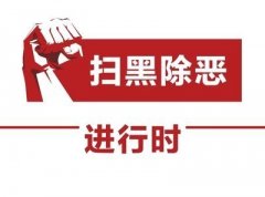 檔案館2020年第一季度掃黑除惡專項斗爭工作總結
