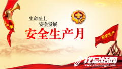 2020年“安全生產(chǎn)月”活動總結精選