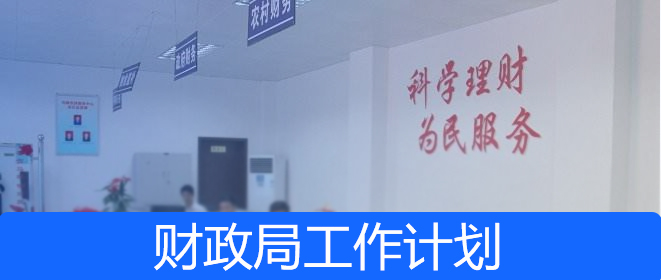 財政局2019年工作總結(jié)及2020年工作計(jì)劃模板