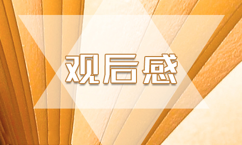 2020感動(dòng)中國(guó)人物黃文秀事跡學(xué)習(xí)感悟5篇